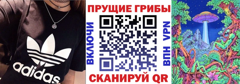 Псилоцибиновые грибы GOLDEN TEACHER  цена   Ивангород 